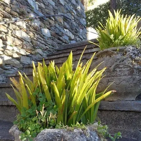 Casa Fiore By Interhome *