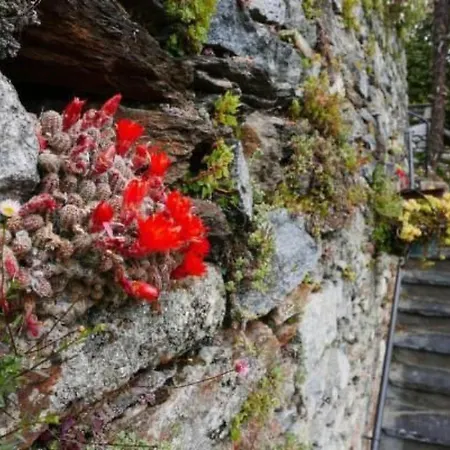 Casa Fiore By Interhome Appartement *