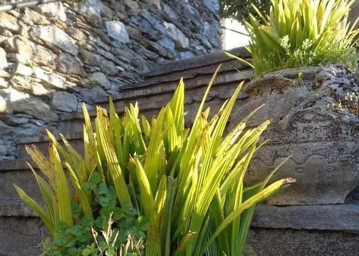 Casa Fiore By Interhome *