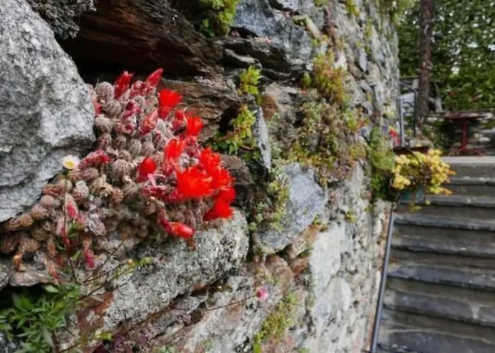 Casa Fiore By Interhome Apartament *